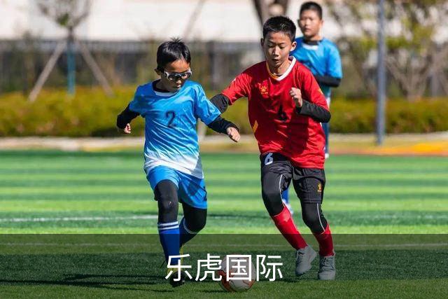 乐虎国际